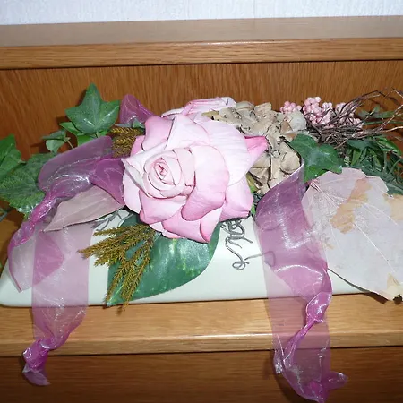 Hotel Olympia 3*